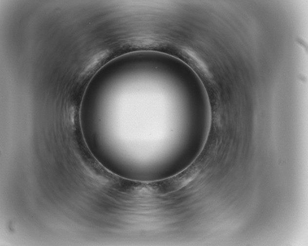 X0000099480115200805091617