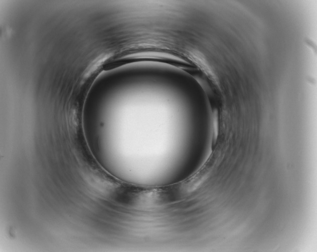 X0000099480116200805091617