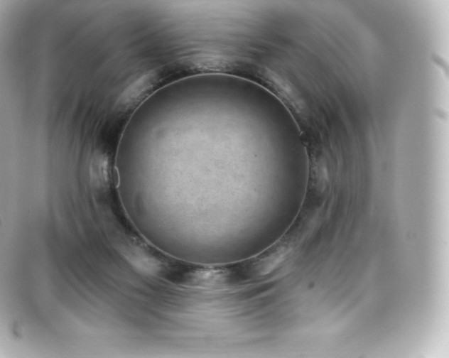 X0000099480117200805091617