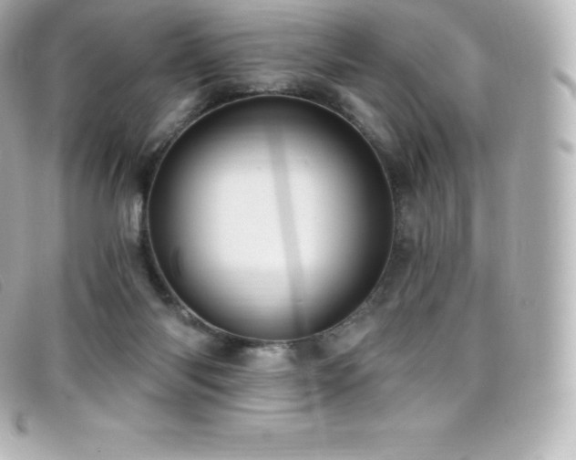 X0000099480118200805091617