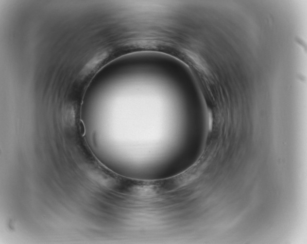 X0000099480120200805091617