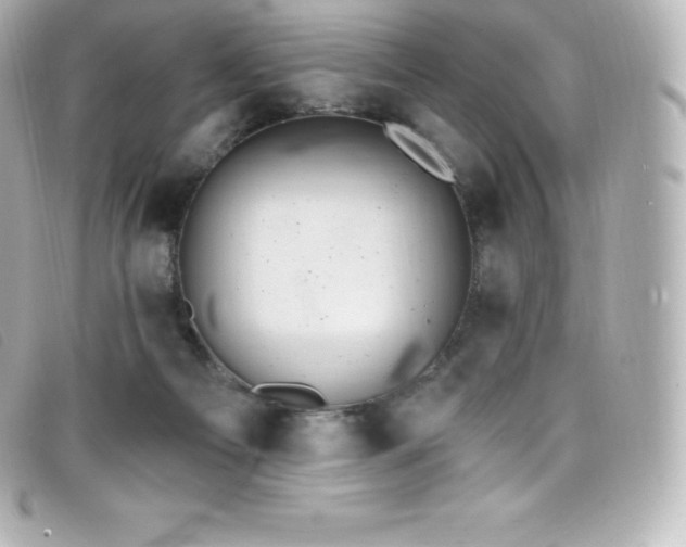 X0000099480121200805091617