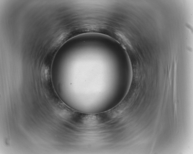 X0000099480123200805091617