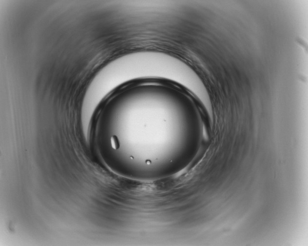 X0000099480124200805091617