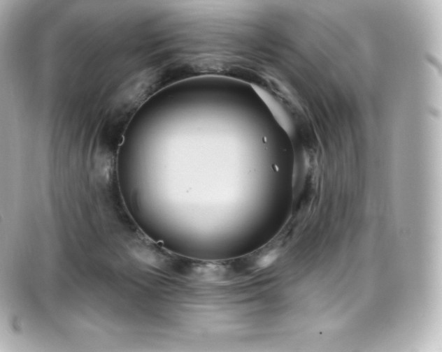 X0000099480125200805091617