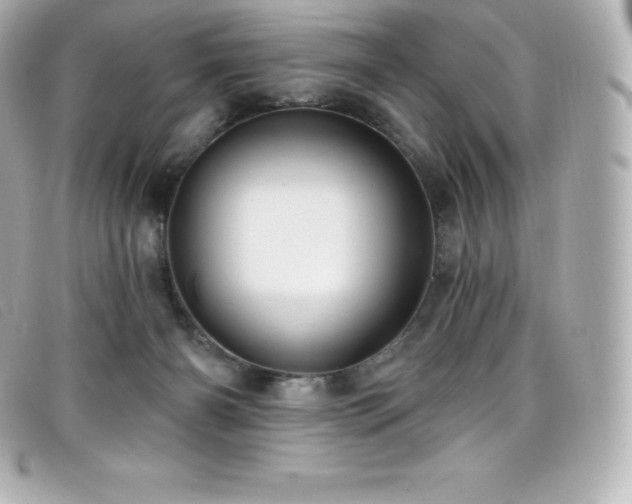 X0000099480126200805091617