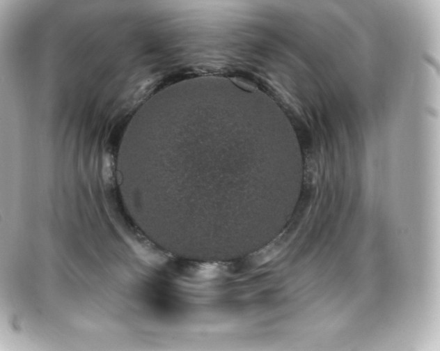X0000099480130200805091617