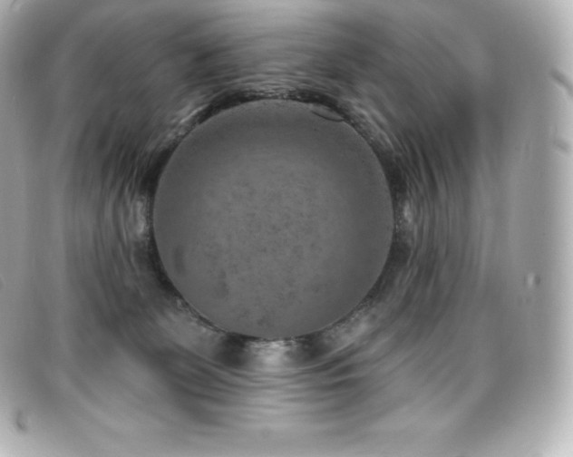 X0000099480131200805091617