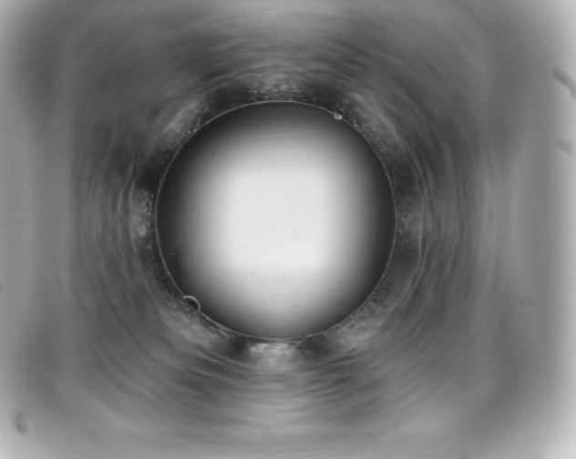 X0000099480133200805091617
