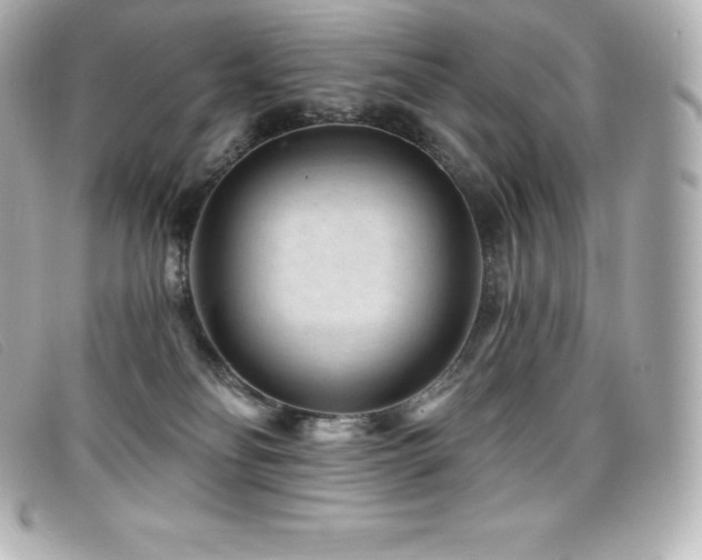 X0000099480134200805091617