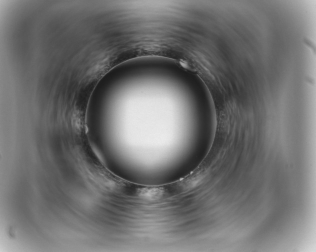 X0000099480135200805091617