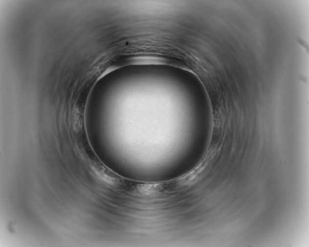 X0000099480136200805091617