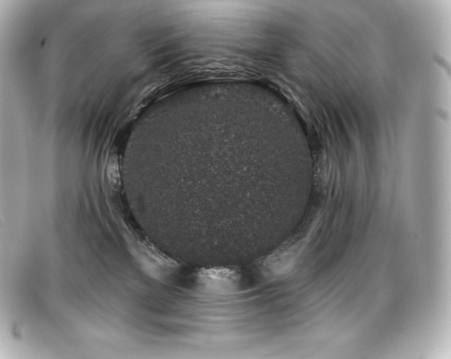 X0000099480137200805091616