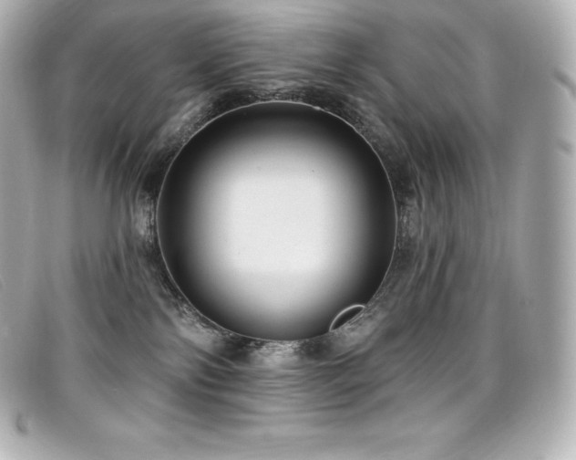 X0000099480138200805091616