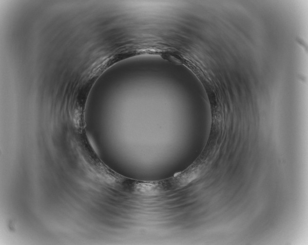 X0000099480139200805091616