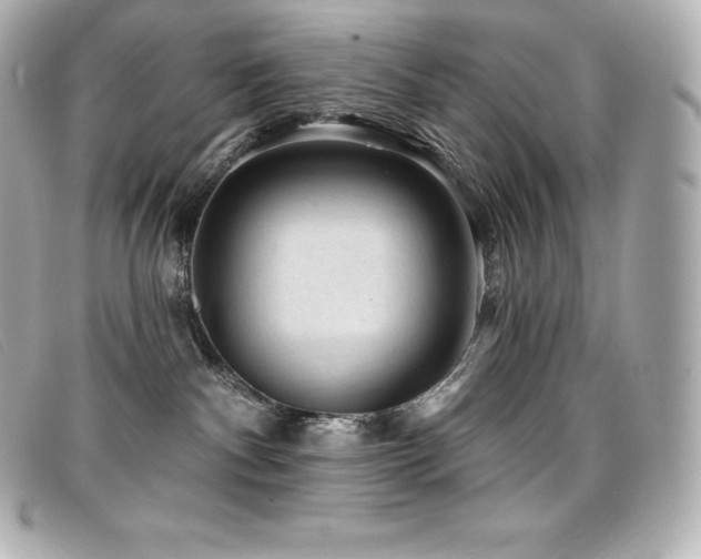 X0000099480140200805091616