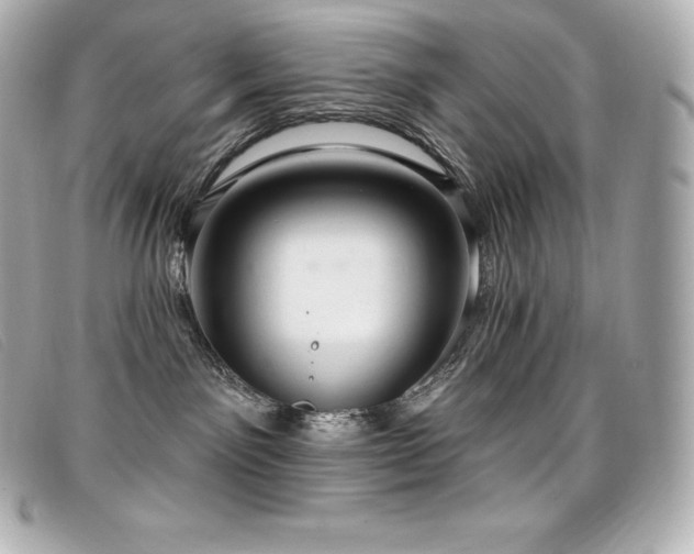 X0000099480141200805091616