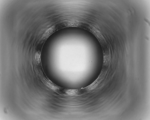 X0000099480142200805091616