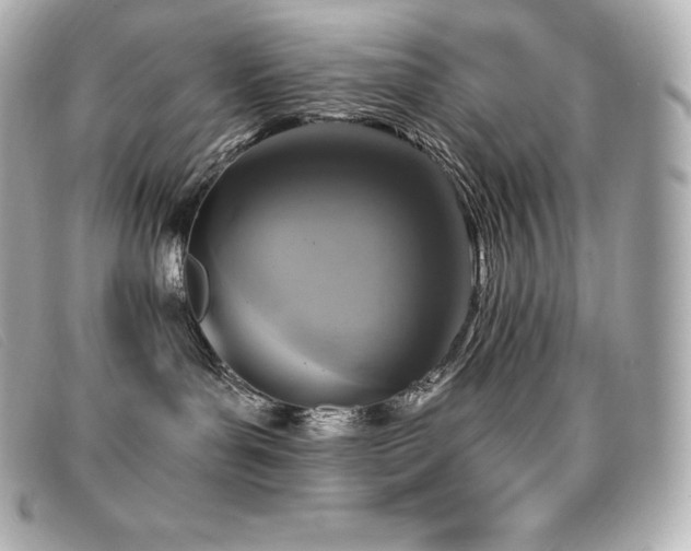 X0000099480143200805091616