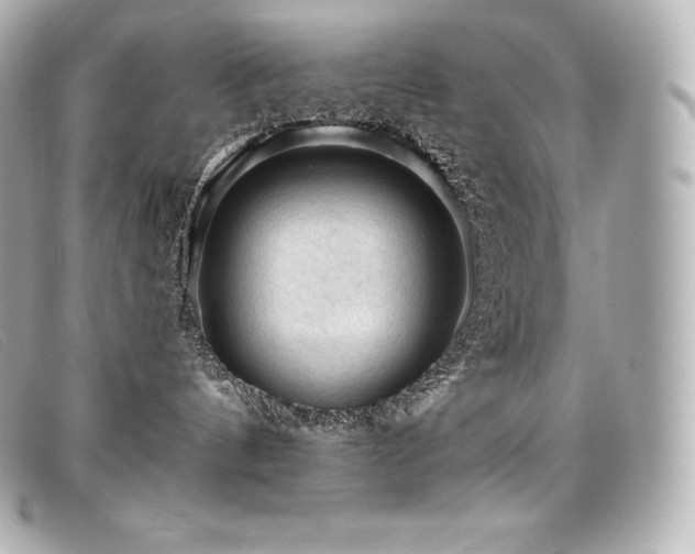 X0000099480144200805091616