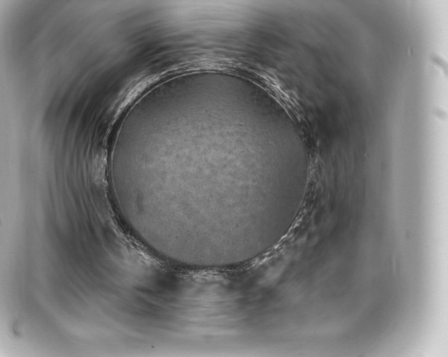 X0000099480146200805091616