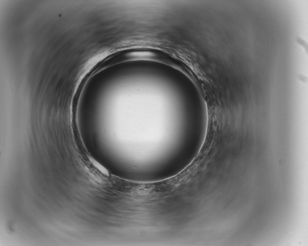 X0000099480148200805091616