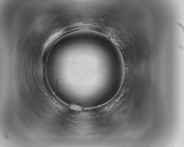 X0000099480149200805091616