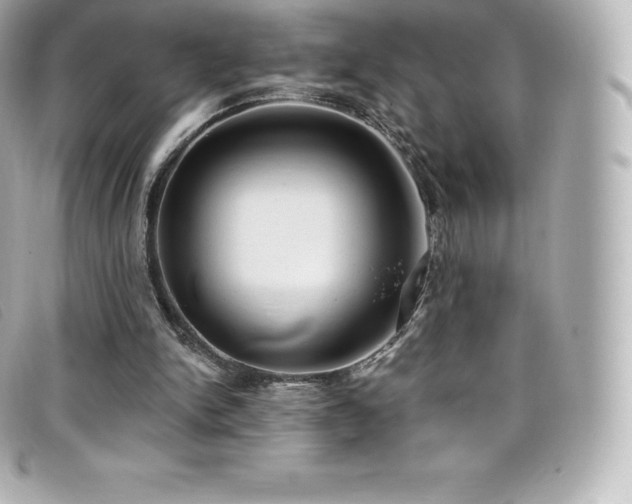 X0000099480150200805091616