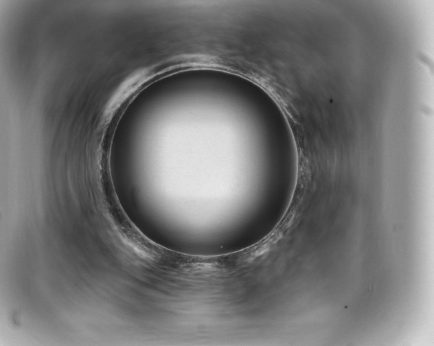 X0000099480151200805091616