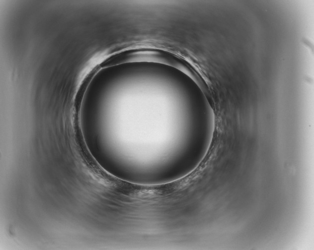 X0000099480152200805091616