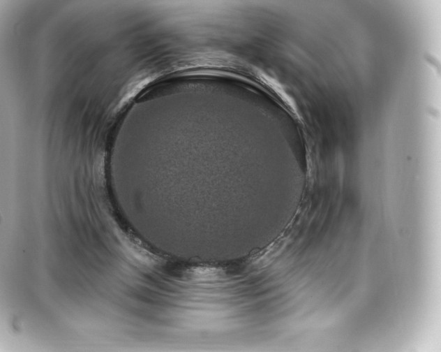 X0000099480154200805091616