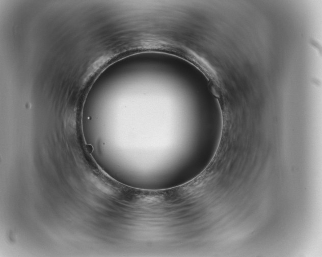 X0000099480155200805091616