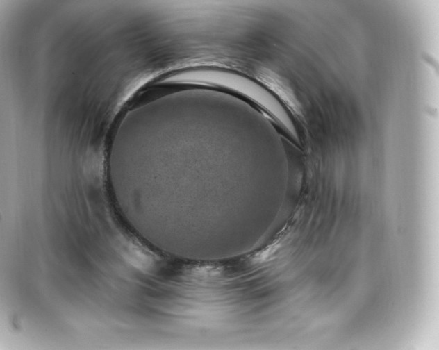 X0000099480156200805091616