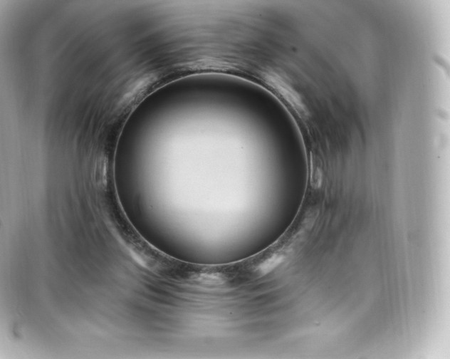 X0000099480157200805091616