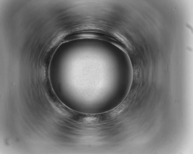 X0000099480158200805091616