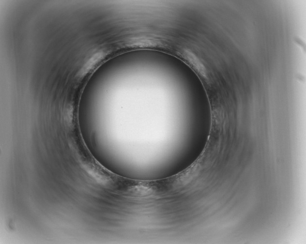 X0000099480159200805091616