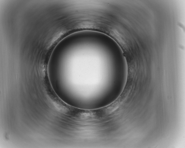 X0000099480160200805091616