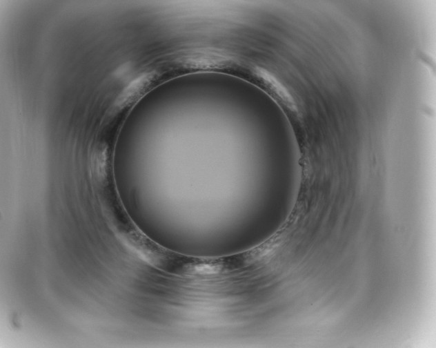 X0000099480163200805091616