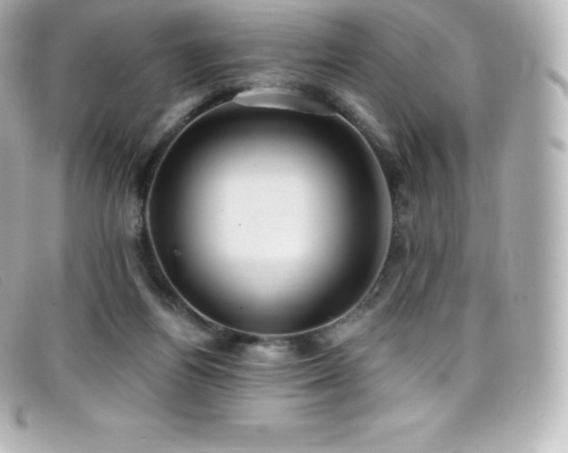 X0000099480164200805091616