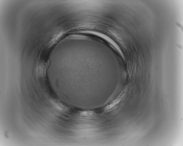 X0000099480168200805091616