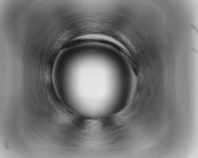X0000099480170200805091616
