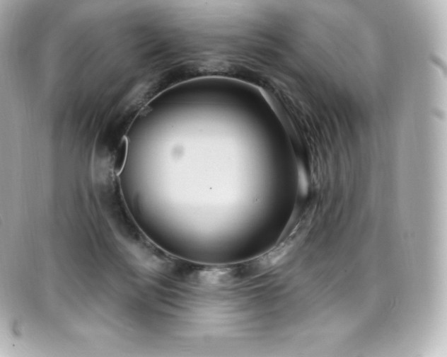 X0000099480172200805091616