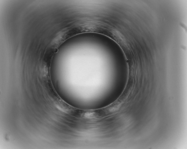 X0000099480173200805091616