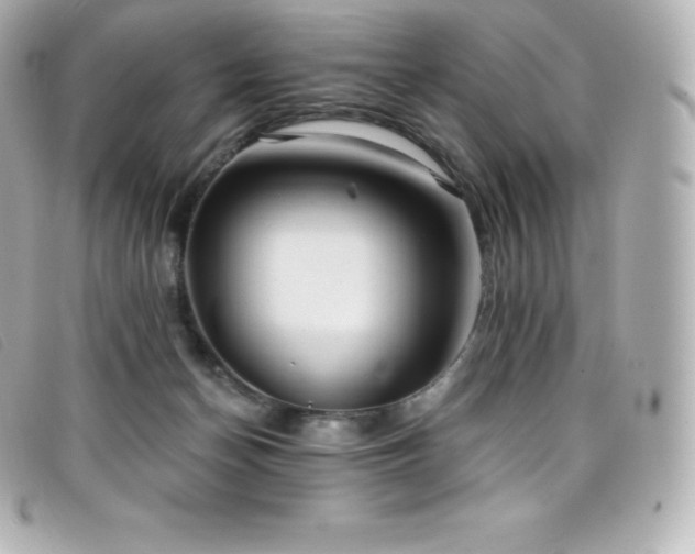 X0000099480174200805091616