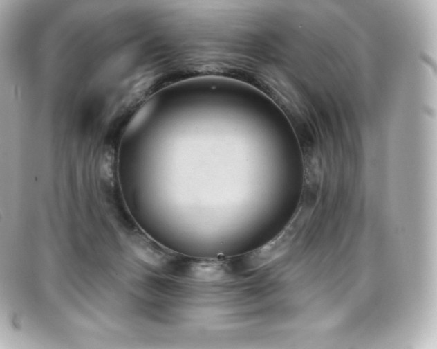 X0000099480175200805091616
