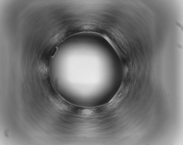X0000099480176200805091616