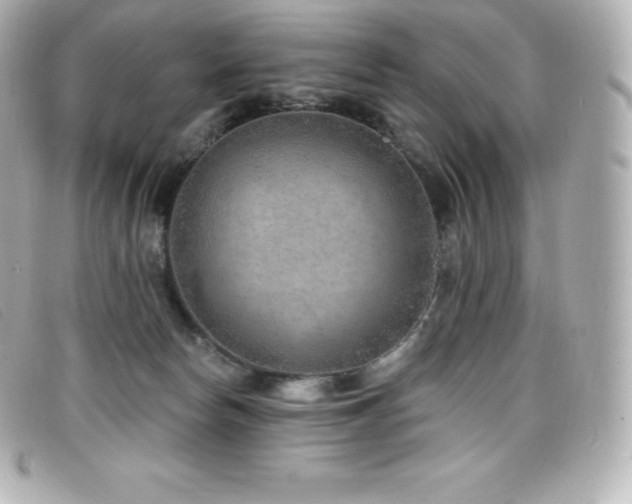 X0000099480178200805091616