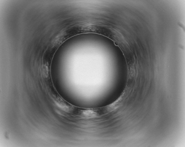 X0000099480183200805091616