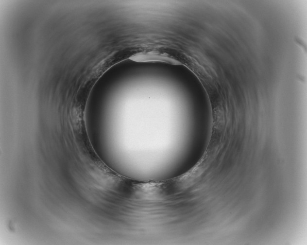 X0000099480184200805091616