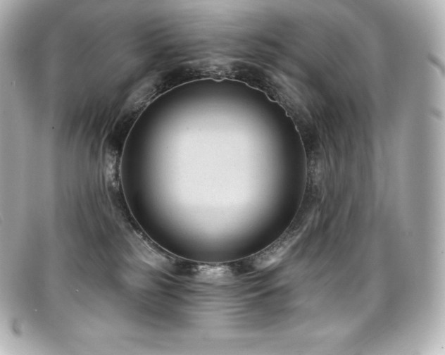 X0000099480185200805091616